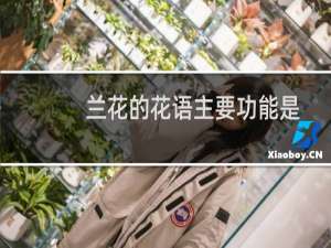 兰花的花语主要功能是什么（兰花的花语和寓意）