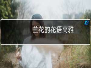 兰花的花语高雅（兰花的花语和寓意）