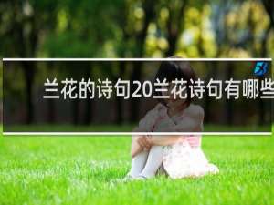 兰花的诗句 兰花诗句有哪些