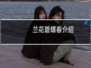 兰花碧螺春介绍