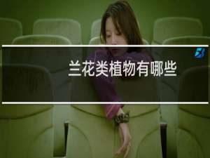 兰花类植物有哪些