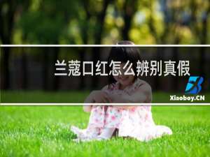 兰蔻口红怎么辨别真假
