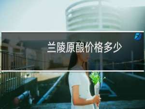 兰陵原酿价格多少