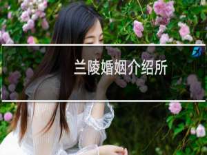 兰陵婚姻介绍所
