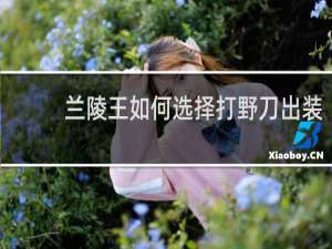 兰陵王如何选择打野刀出装