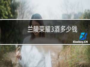 兰陵荣耀3酒多少钱