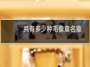 共有多少种毛像章名章