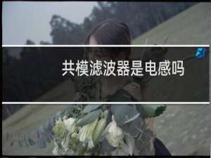 共模滤波器是电感吗