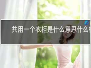 共用一个衣柜是什么意思什么梗