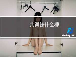 共通线什么梗