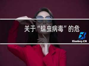 关于“蠕虫病毒”的危害预防和处理