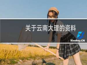 关于云南大理的资料（云南省大理的简介）