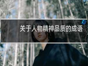 关于人物精神品质的成语