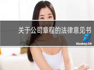 关于公司章程的法律意见书