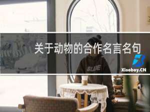 关于动物的合作名言名句