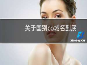 关于国别co域名到底能不能备案
