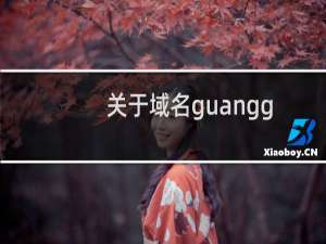 关于域名guanggunjieguang.com问题