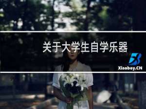 关于大学生自学乐器
