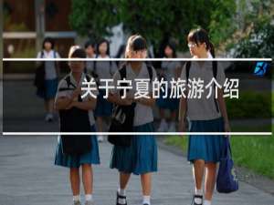 关于宁夏的旅游介绍