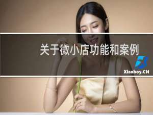 关于微小店功能和案例的问题