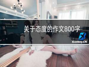 关于态度的作文800字