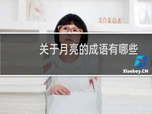 关于月亮的成语有哪些