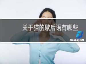 关于猫的歇后语有哪些