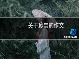 关于珍宝的作文