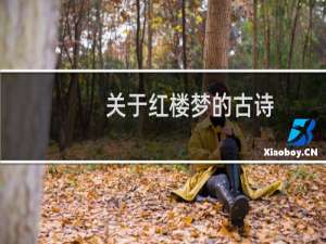 关于红楼梦的古诗