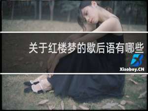 关于红楼梦的歇后语有哪些