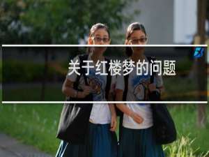 关于红楼梦的问题