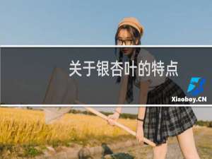 关于银杏叶的特点