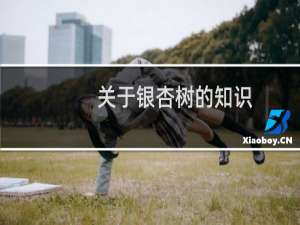 关于银杏树的知识