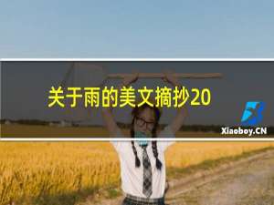 关于雨的美文摘抄200字