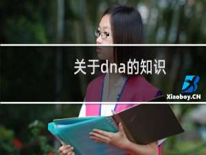 关于dna的知识