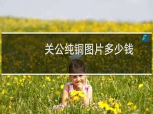 关公纯铜图片多少钱