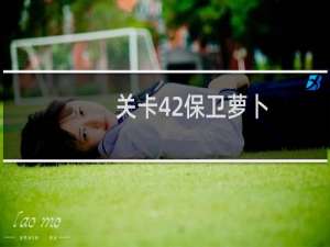关卡42保卫萝卜