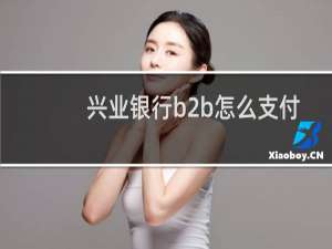 兴业银行b2b怎么支付