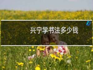 兴宁学书法多少钱