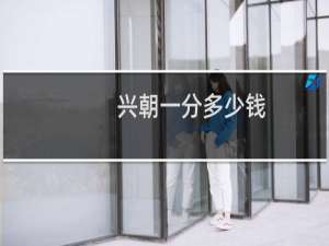 兴朝一分多少钱