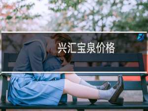 兴汇宝泉价格