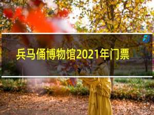 兵马俑博物馆2021年门票