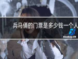 兵马俑的门票是多少钱一个人