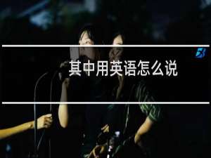 其中用英语怎么说