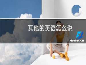 其他的英语怎么说