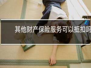 其他财产保险服务可以抵扣吗