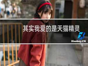 其实我爱的是天猫精灵