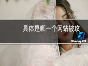 具体是哪一个网站被攻击-云服务器问题