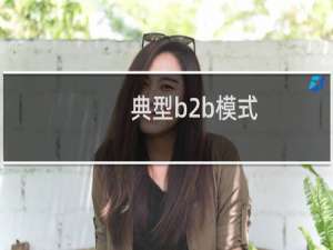 典型b2b模式