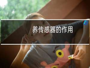 养传感器的作用
